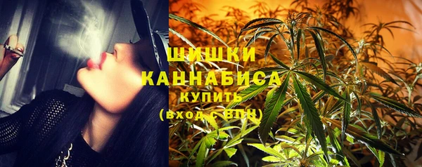 индика Новодвинск