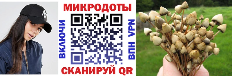 Псилоцибиновые грибы прущие грибы Краснодар