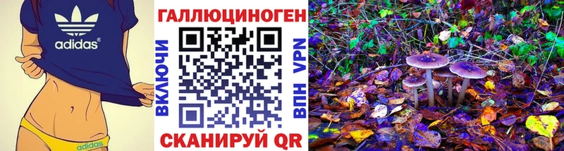 где продают наркотики  Краснодар  Псилоцибиновые грибы Psilocybe 