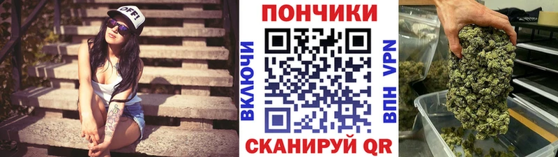 Бошки Шишки планчик  Краснодар 